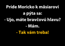 Vtipný obrázok s textom: Príde Moricko k mäsiarovi a pýta sa: - Ujo, máte bravčovú hlavu? - Mám. - Tak vám treba!